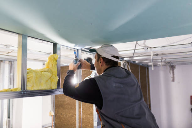 Best Local Insulation Services  in USA